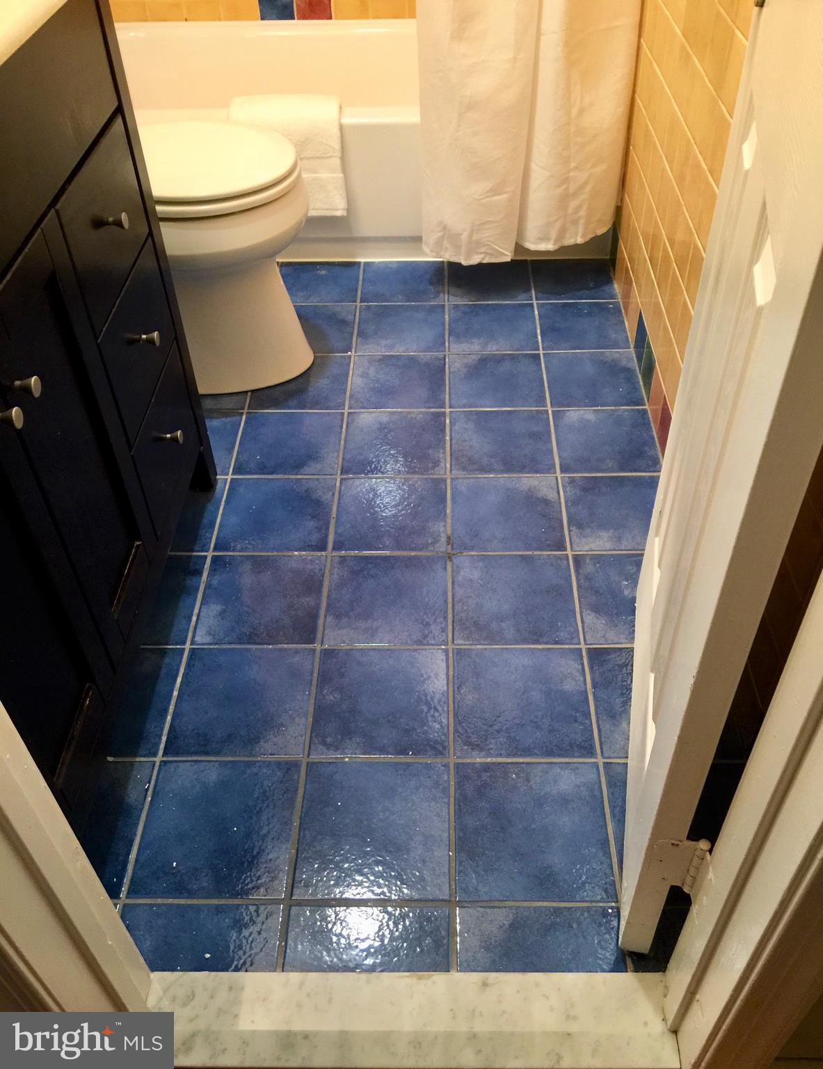 718 F Street Northeast Washington, DC 20002 - Photo 16 of 41 Intense lapis-colored floor.