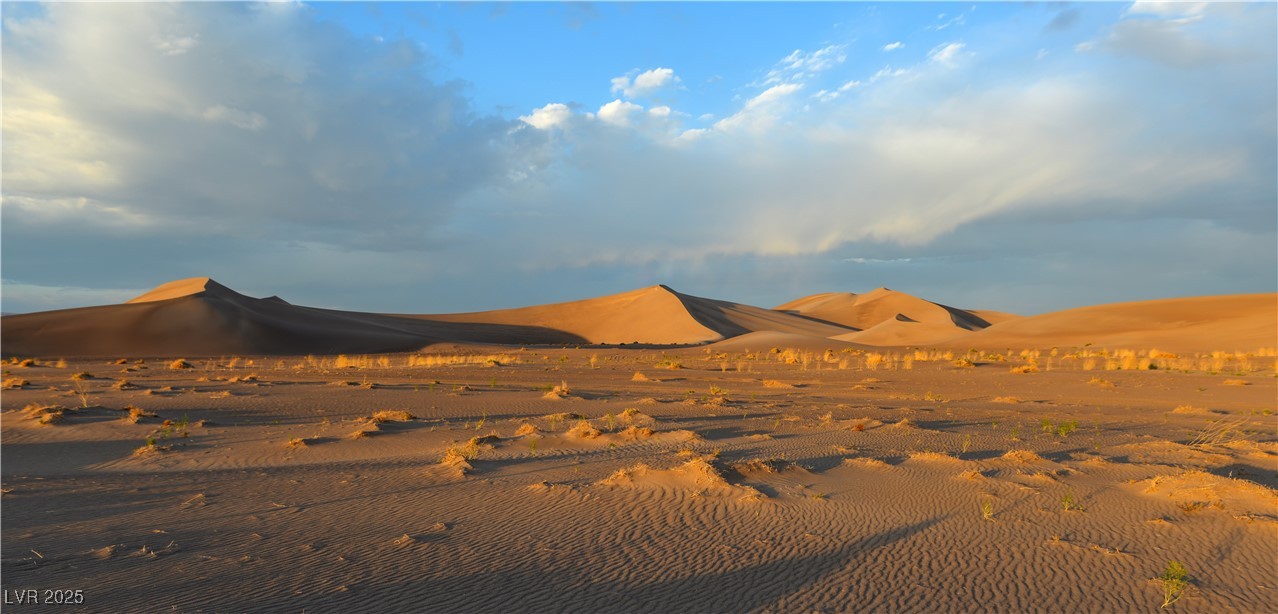 5770 South Peterson Road Amargosa Valley, NV 89020 - Photo 44 of 59