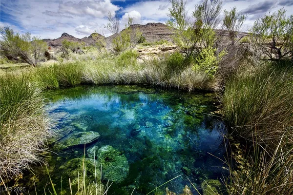 $2,500,000 | 5770 South Peterson Road, Amargosa Valley, NV 89020