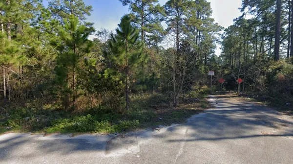 a view of a street with a trees