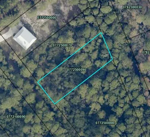 a bird view of building