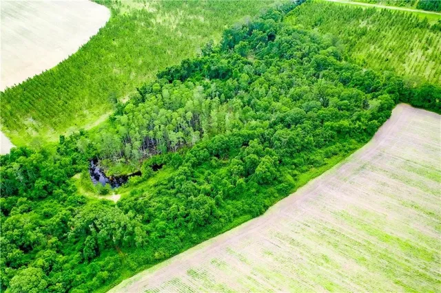 $55,000 | 0 King Road, Blackshear, GA 31516