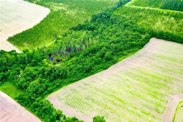 $55,000 | 0 King Road, Blackshear, GA 31516