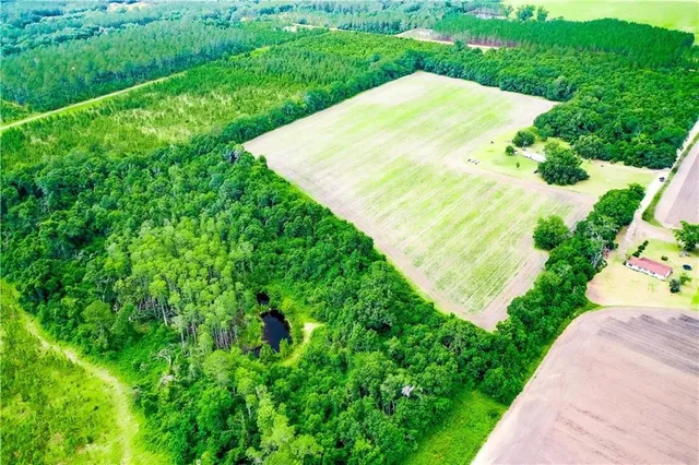 $55,000 | 0 King Road, Blackshear, GA 31516