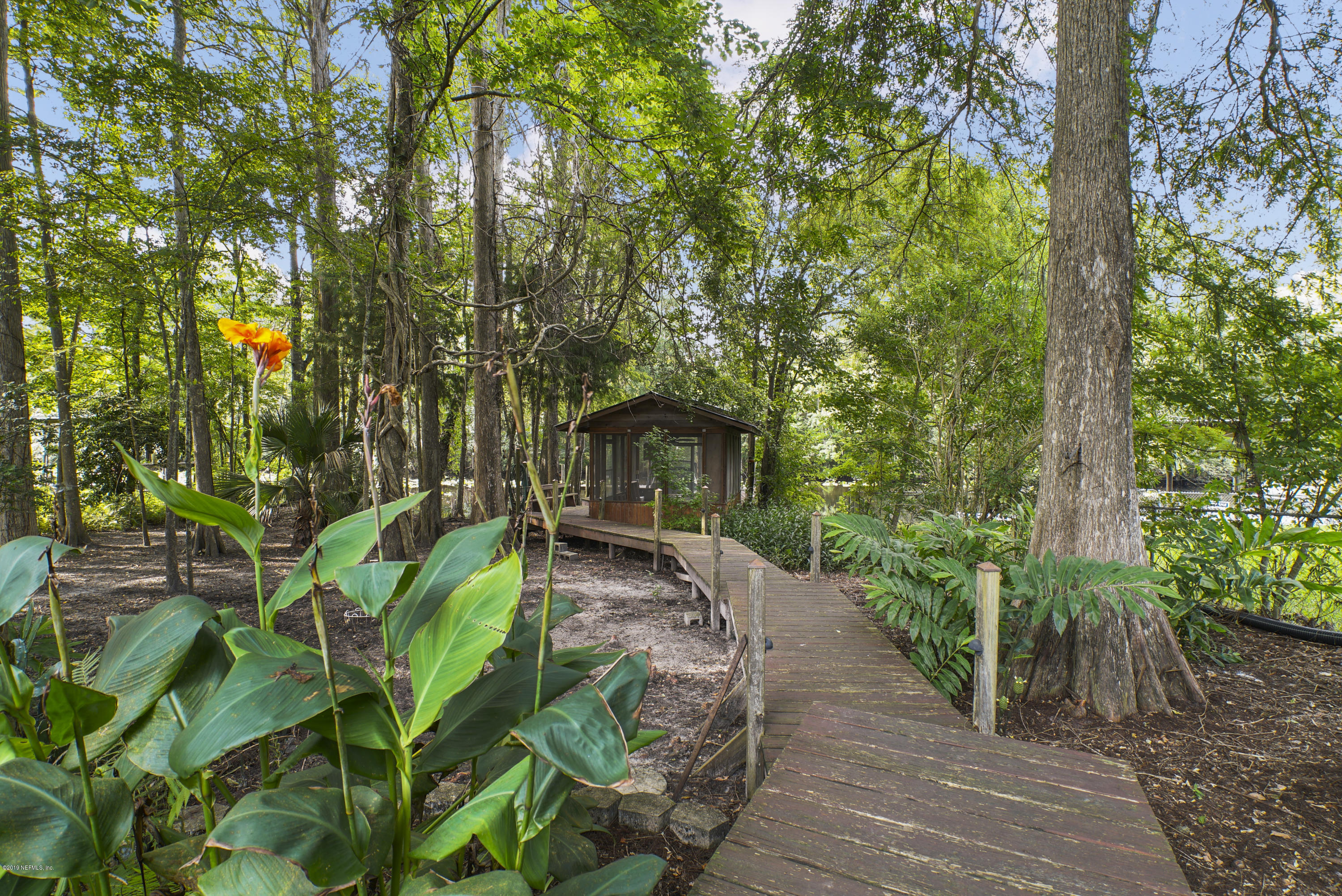 2066 Cornell Road Middleburg, FL 32068 - Photo 6 of 43 a view of a garden with plants