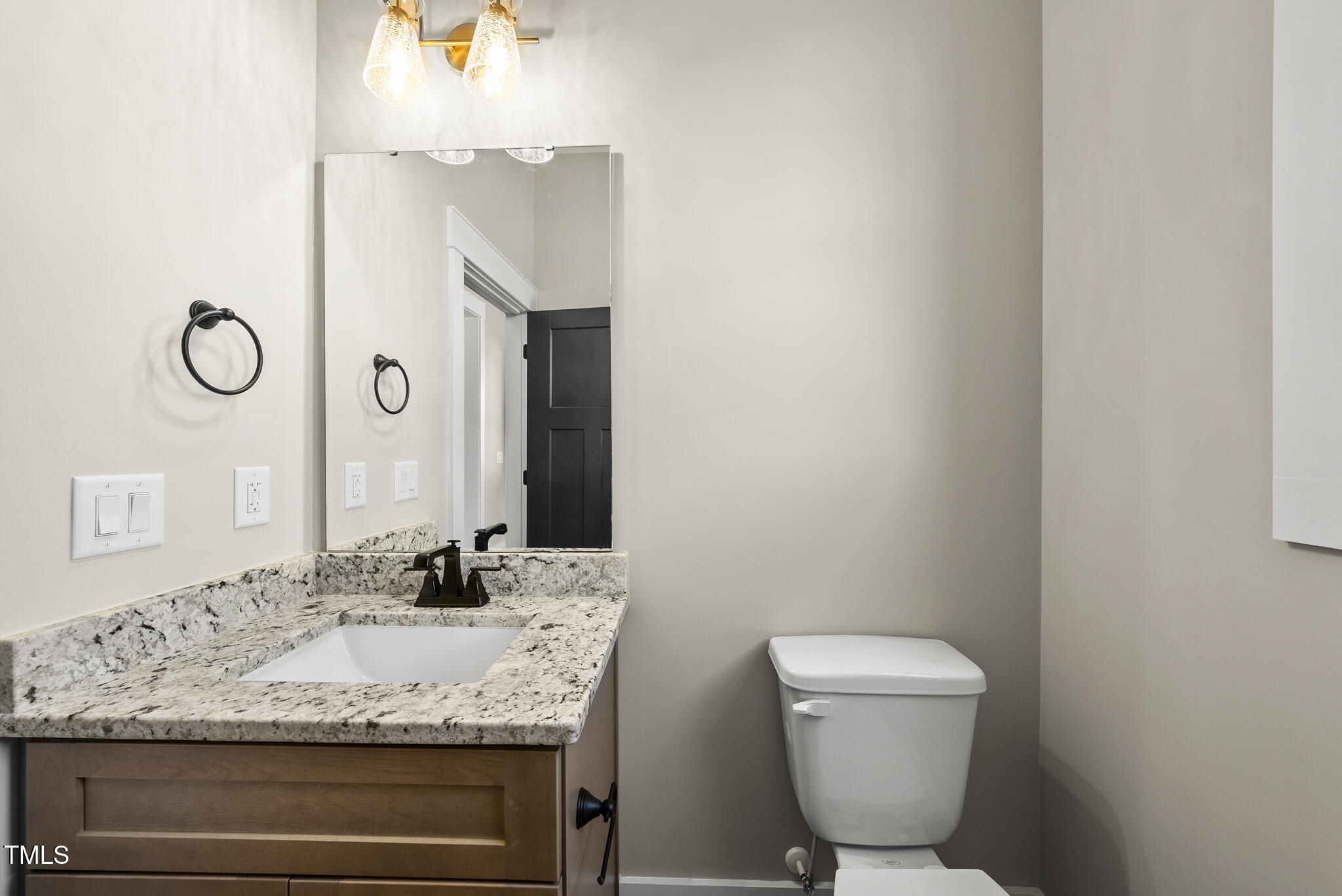 2560 Lassiter Road Four Oaks, NC 27524 - Photo 28 of 66 a bathroom with a granite countertop sink and a toilet