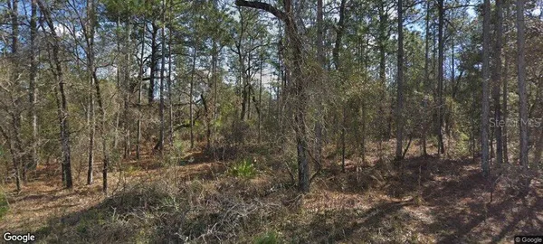 $54,900 | 14390 English Sparrow Road, Weeki Wachee, FL 34614
