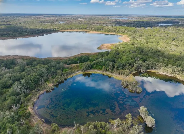 a view of a tree with a yard