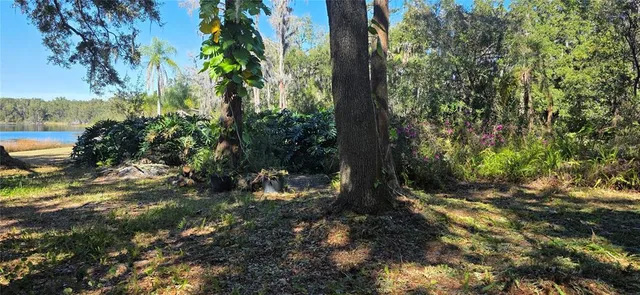 a view of a lake with beach and wooden floor