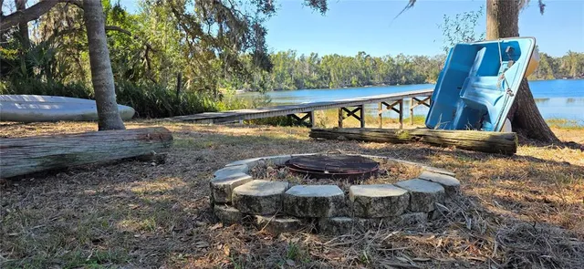 a view of a bunch of trees and bushes