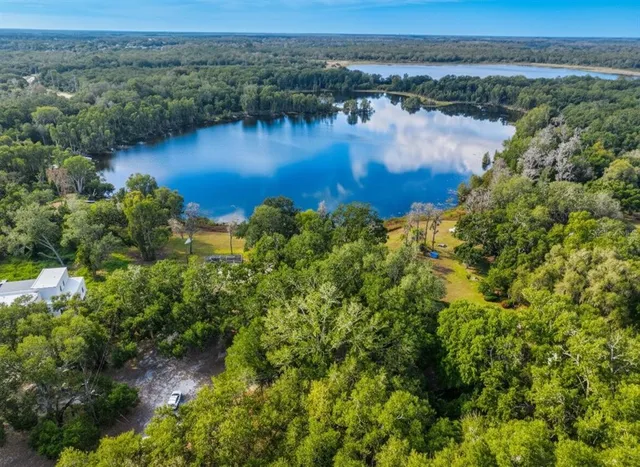 a view of a yard with trees