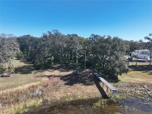 a view of a forest with trees