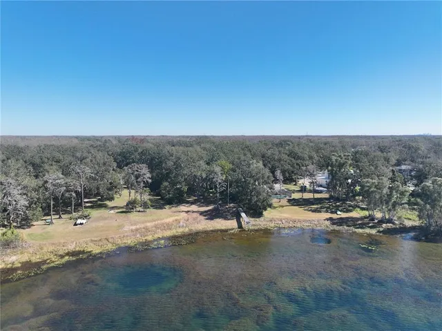 a view of a bunch of flowers