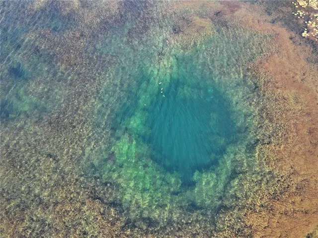 a view of a pathway with plants