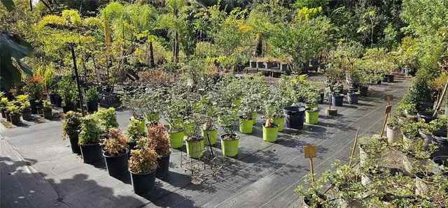 $3,400,000 | 9906 Gunn Highway, Odessa, FL 33556