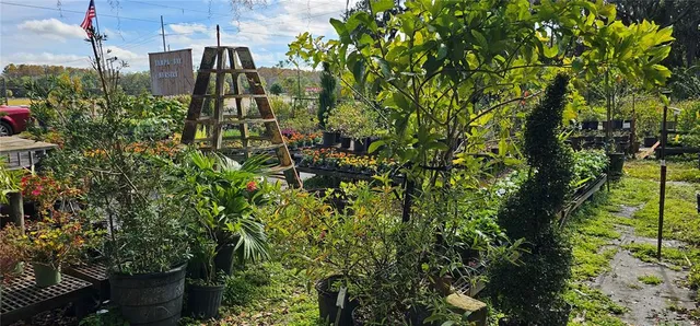 $3,400,000 | 9906 Gunn Highway, Odessa, FL 33556