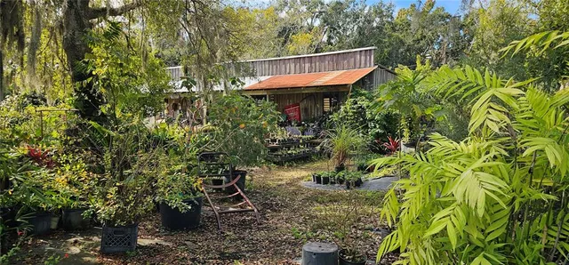 an aerial view of beach