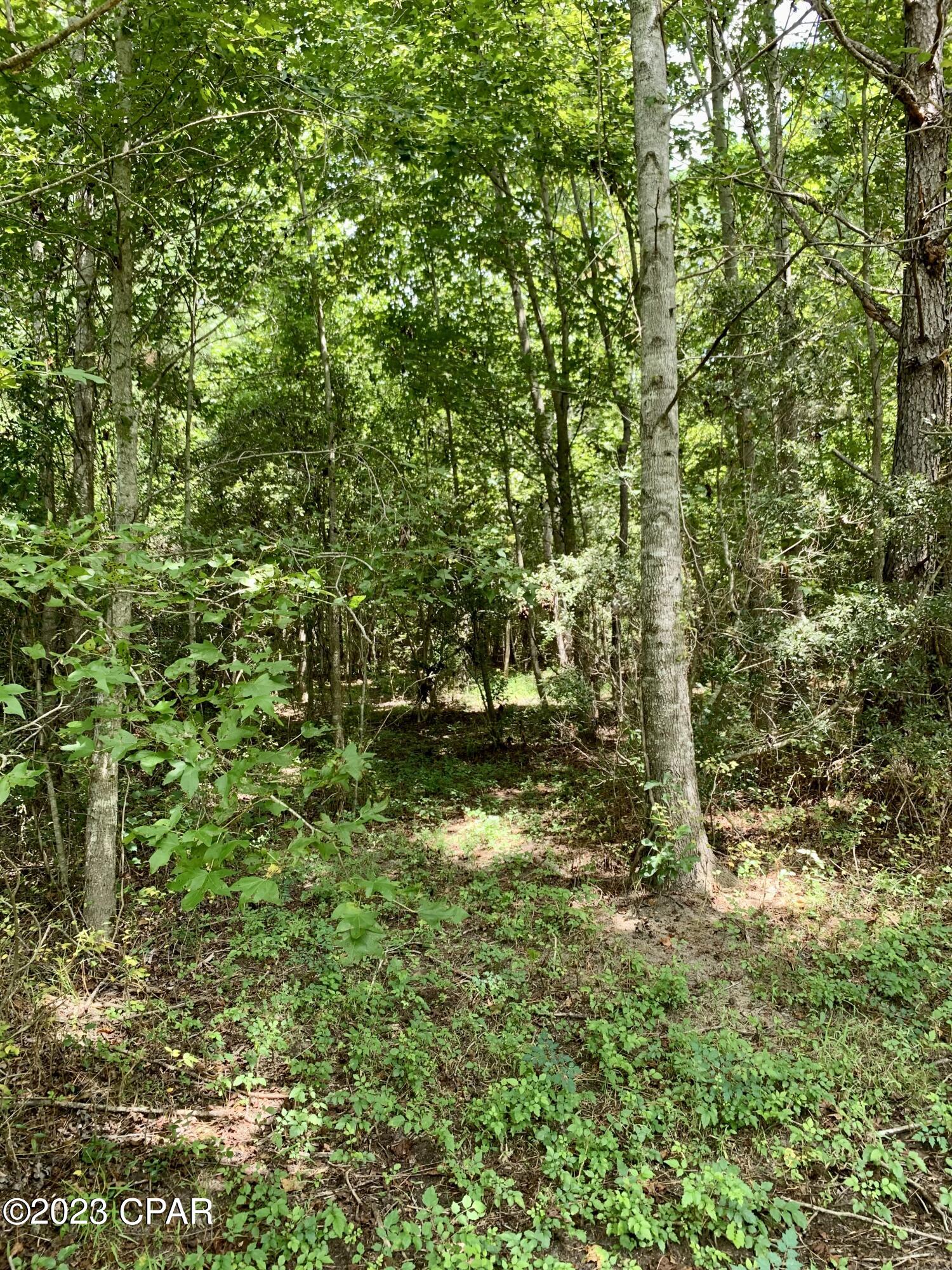 2466 Dilmore Road Cottondale, FL 32431 - Photo 20 of 36