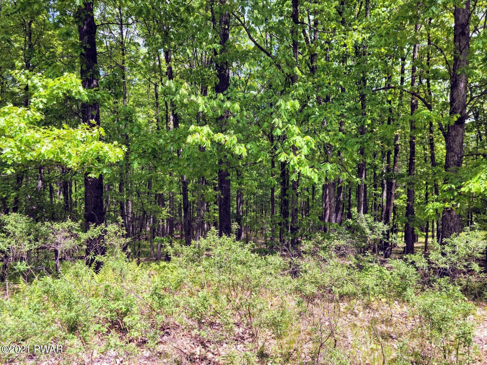 Lot 57 Deer Run Road Hawley, PA 18428 - Photo 3 of 6