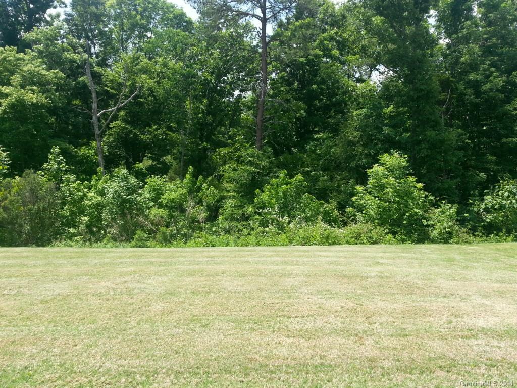 11619 Downy Birch Road Charlotte, NC 28227 - Photo 20 of 24