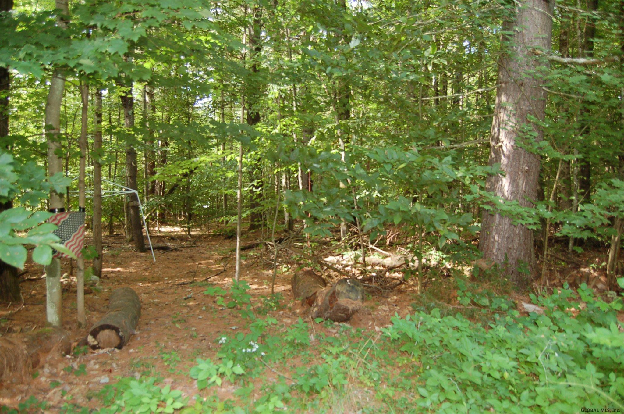 145 Heath Road Corinth, NY 12822 - Photo 10 of 10 Photo 10
