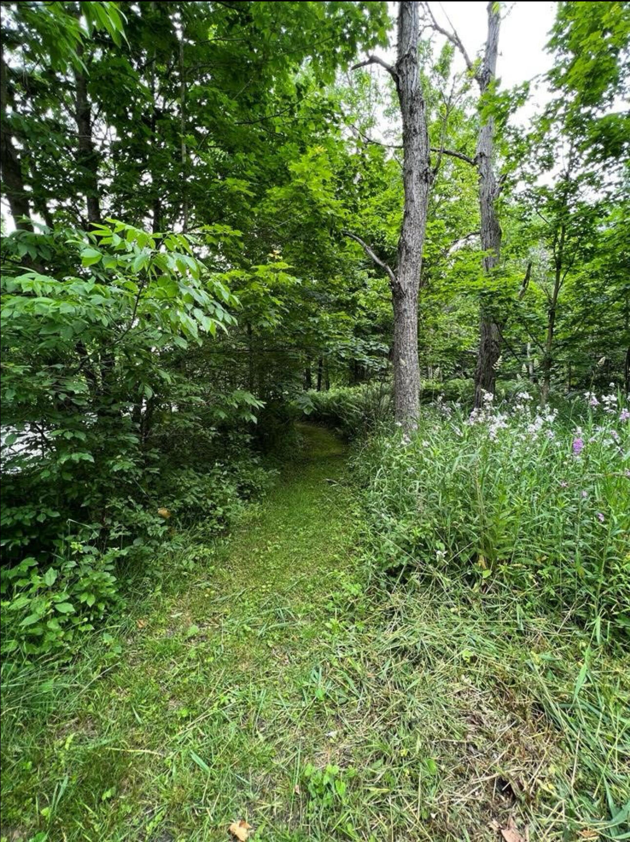 15 Simms Road Chateaugay, NY 12920 - Photo 13 of 35 IMG_1189