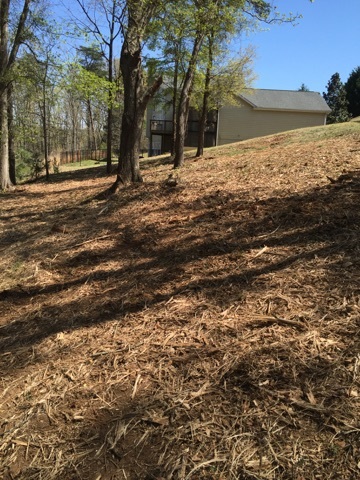 Lot #14 Huntington Road Anderson, SC 29626 - Photo 11 of 11 Gallery Image 11