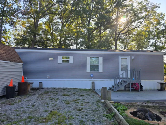 a view of a yard with large tree