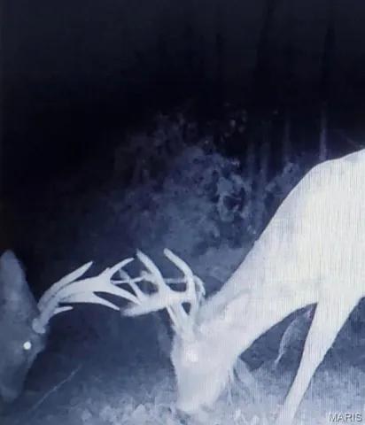 $524,900 | 5063 Rock Road, Waterloo, IL 62298