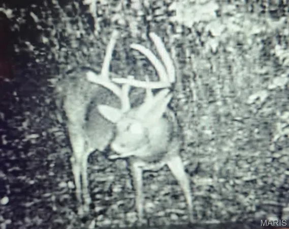 $515,000 | 5063 Rock Road, Waterloo, IL 62298