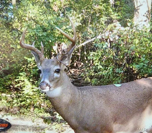 $515,000 | 5063 Rock Road, Waterloo, IL 62298