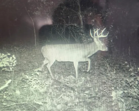 $515,000 | 5063 Rock Road, Waterloo, IL 62298