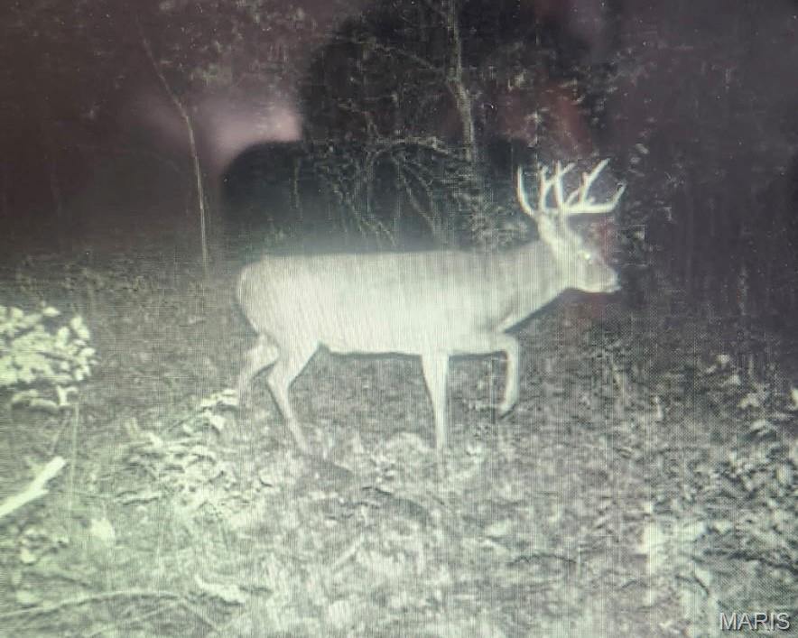 5063 Rock Road Waterloo, IL 62298 - Photo 80 of 85