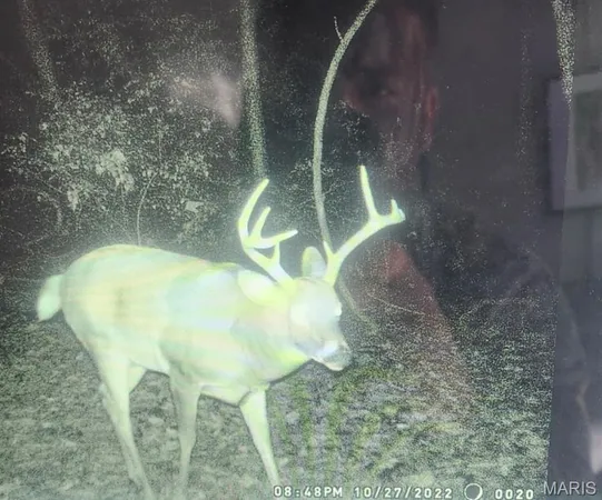 $515,000 | 5063 Rock Road, Waterloo, IL 62298