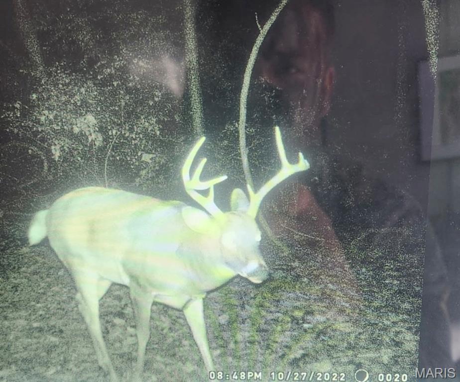 5063 Rock Road Waterloo, IL 62298 - Photo 81 of 85