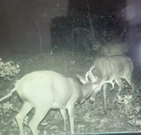 $515,000 | 5063 Rock Road, Waterloo, IL 62298