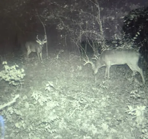 $499,900 | 5063 Rock Road, Waterloo, IL 62298