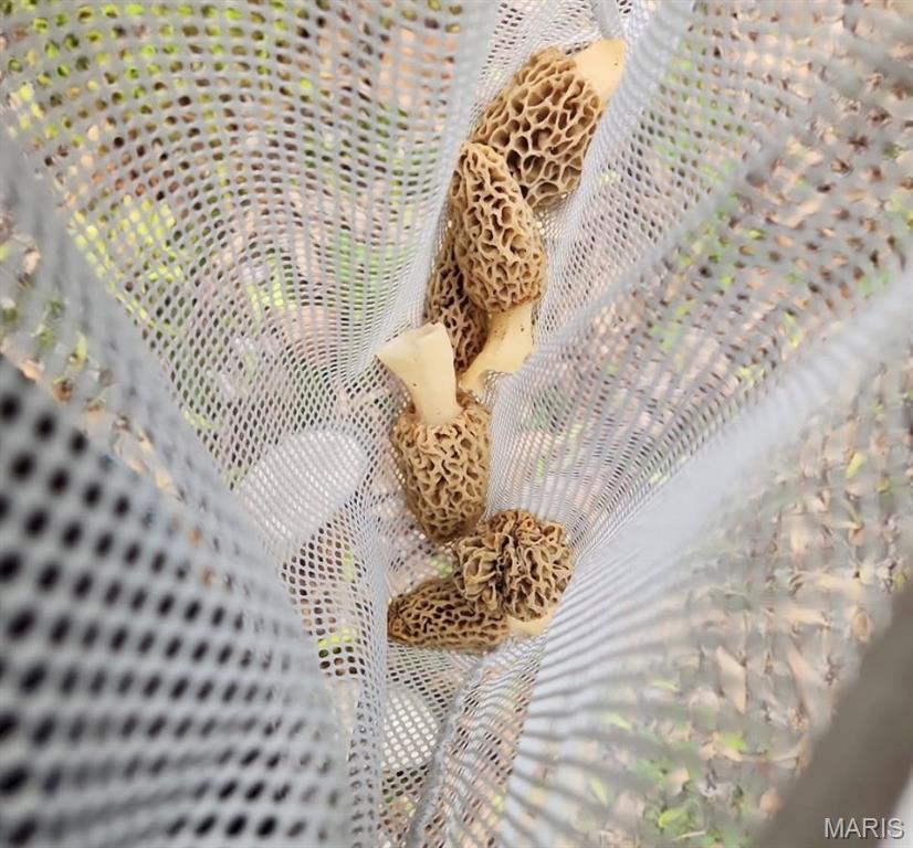 5063 Rock Road Waterloo, IL 62298 - Photo 85 of 85