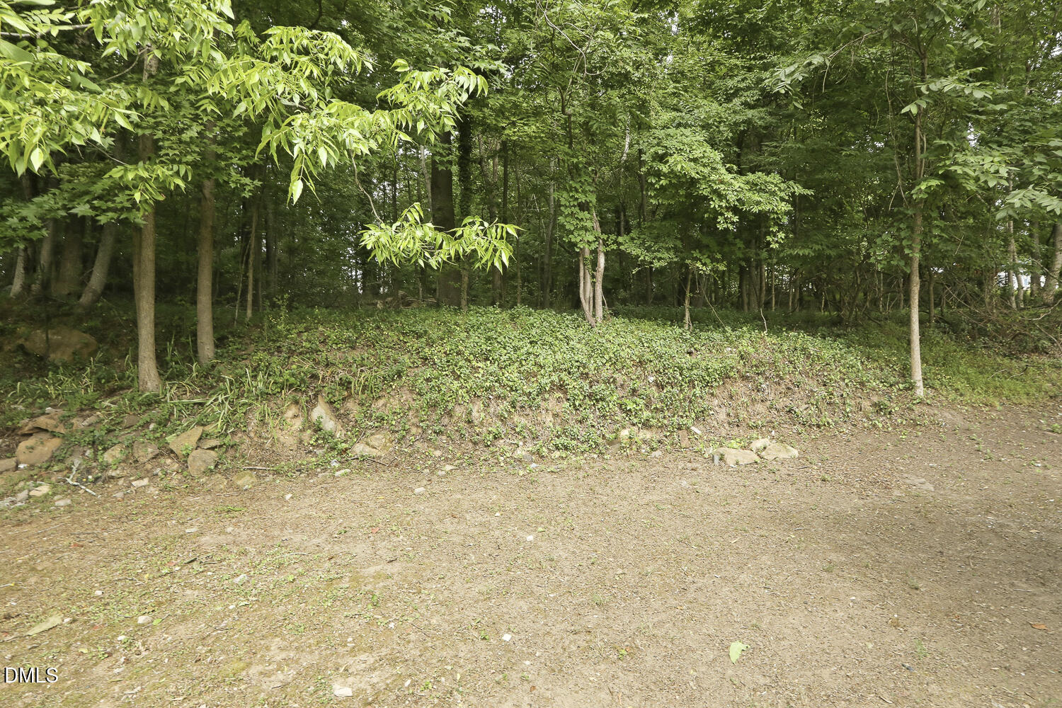 707 Dickens Street Roxboro, NC 27573 - Photo 43 of 43
