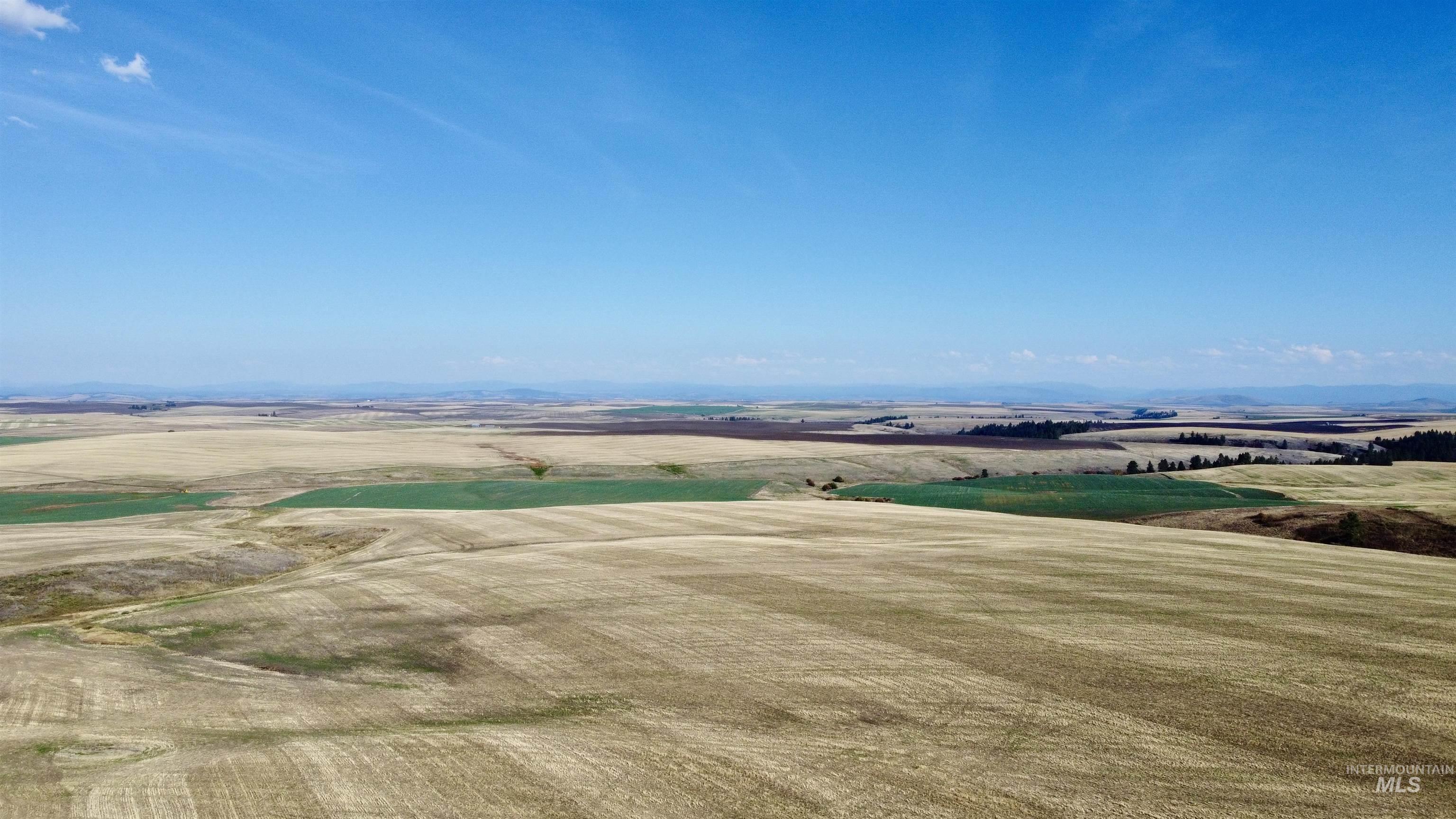 Tbd Tbd Westlake Road Craigmont, ID 83523 - Photo 2 of 6