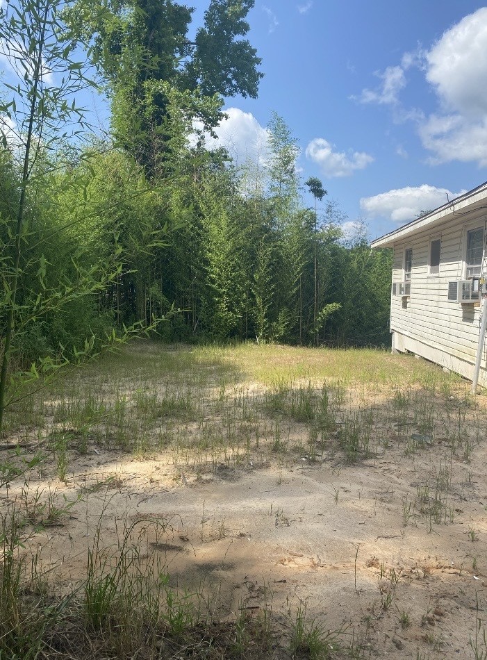 125 Wingate Road Woodville, TX 75979 - Photo 3 of 6