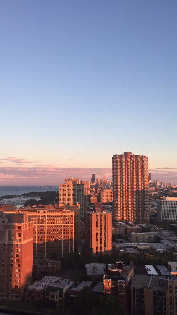 655 West Irving Park Road, Unit 2909 Chicago, IL 60613 - Photo 12 of 12
