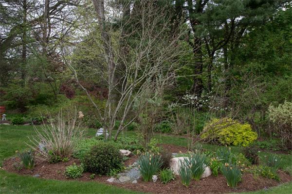 44 Brook Road Sharon, MA 02067 - Photo 18 of 23 Gallery Image 18