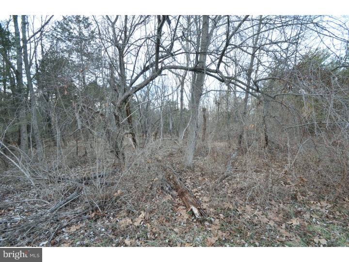 L: 005 Red Hill Road Pennsburg, PA 18073 - Photo 7 of 11 Gallery Image 7