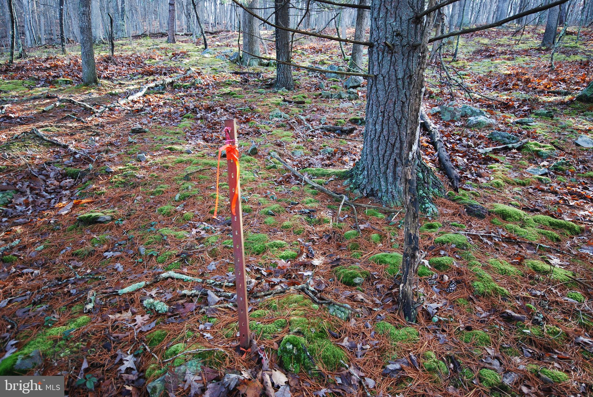 Lot 70-71 Mill Mountain Road Romney, WV 26757 - Photo 19 of 52
