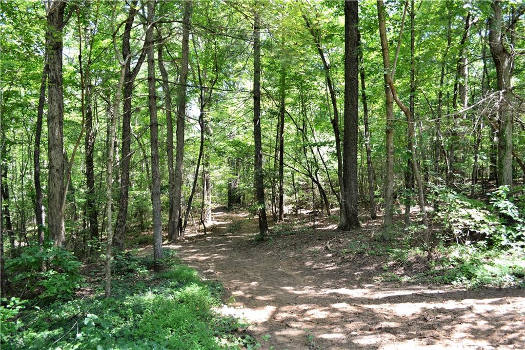 5669 Mt Olive Church Road Morganton, NC 28655 - Photo 23 of 26 Gallery Image 23