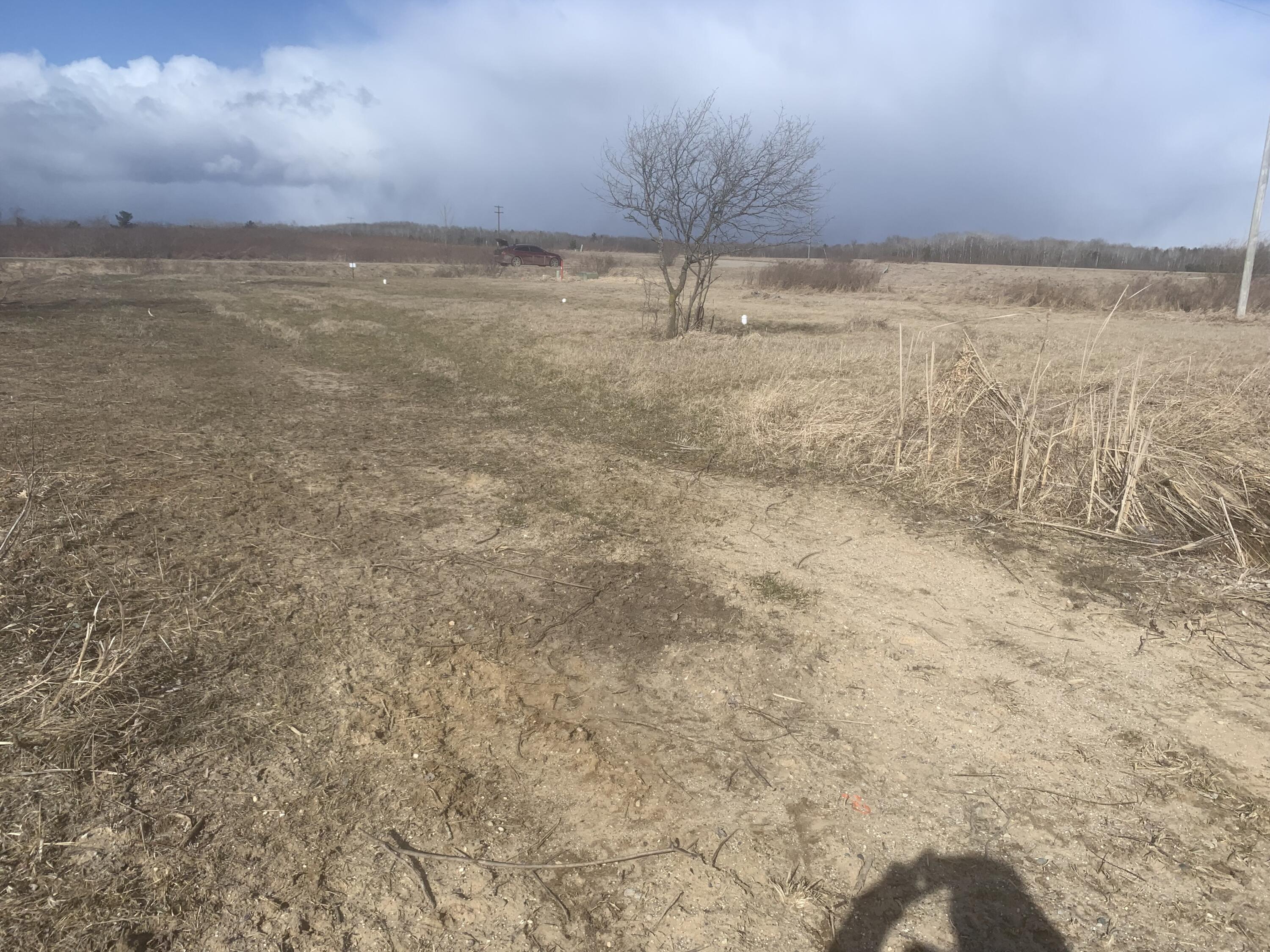 67 Fairfield Way Gladwin, MI 48624 - Photo 6 of 38 IMG_1876