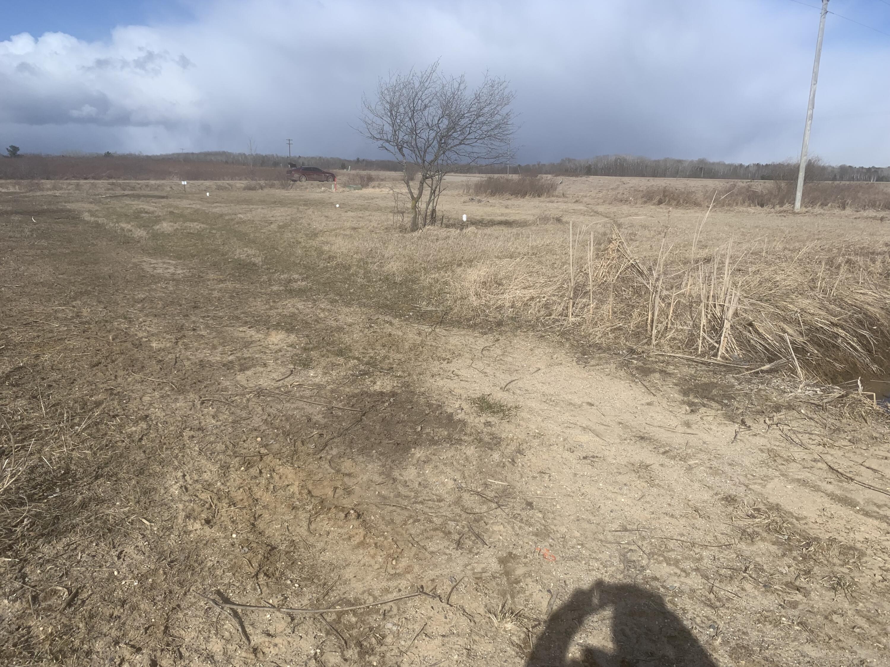 67 Fairfield Way Gladwin, MI 48624 - Photo 7 of 38 IMG_1875