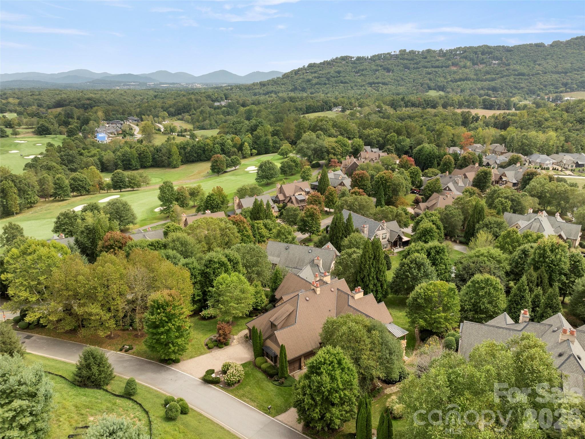 4 Windelsham Way Arden, NC 28704 - Photo 45 of 46 an aerial view of green landscape with trees houses and mountain view
