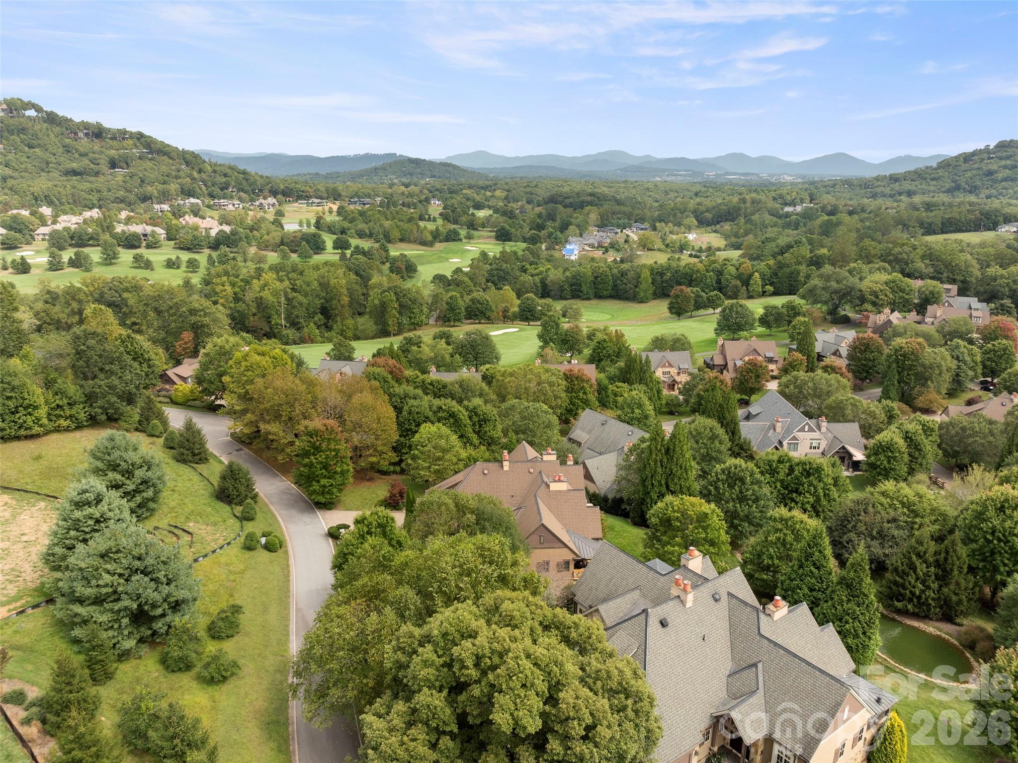 4 Windelsham Way Arden, NC 28704 - Photo 46 of 46 an aerial view of residential houses with outdoor space and trees